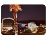 The exterior decorated with holiday lights against the night sky