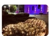 A garden path strung with warm holiday lights